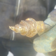 Image for article titled Here's How You Can Replace Your Rusty Brake Lines